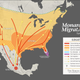 Image for article titled Monarch butterfly populations in the west are down an order of magnitude from last year